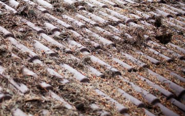 Glengrasco roof cleaning companies
