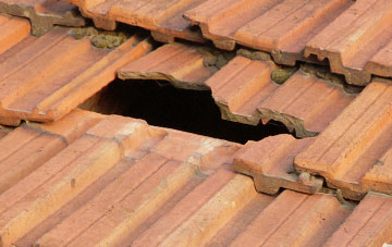 roof repair Glengrasco, Highland